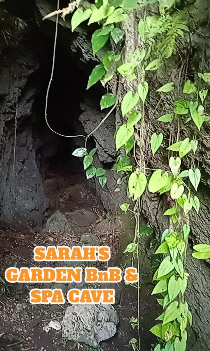 Sarah'S Garden Bnb & Spa Bed and Breakfast Clarin  Exterior foto